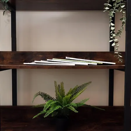 Cozy Kingsize In Centre! 布里斯托